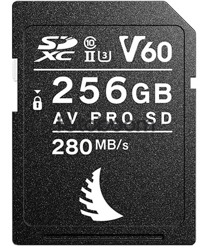 AV PRO SD MK2 256 GB V60 280 Mb/s