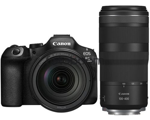 EOS R6 Mark III + 24-105mm f/4L RF IS + 100-400mm f/5.6-8 IS USM RF + CANEST