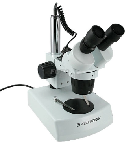 Microscopio estereoscópico binocular 44204