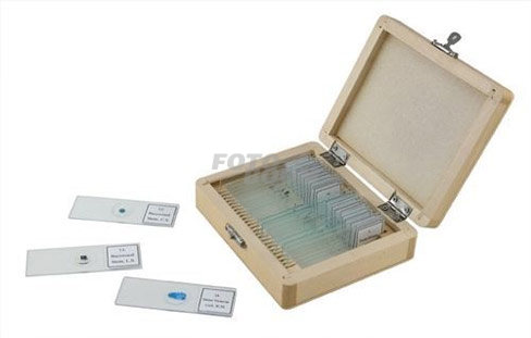 Caja de 100 preparaciones microscópicas 44412