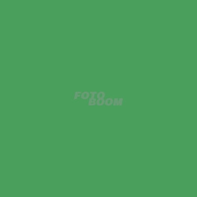 Vinilo Chroma Green CR35023