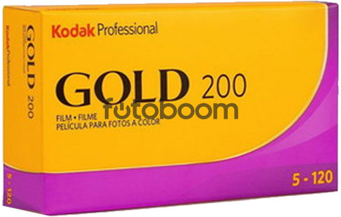 GOLD 200 120