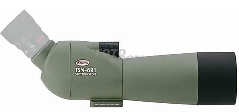 TSN-601