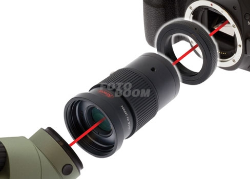 Kit Digiscoping D2 Canon EF