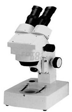 L3 Microscopio Estereoscopico