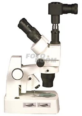 L4 Microscopio Estereoscopico