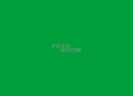 Fondo BW-07 Verde