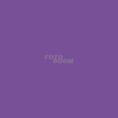 Fondo Papel Corto Royal Purple 62