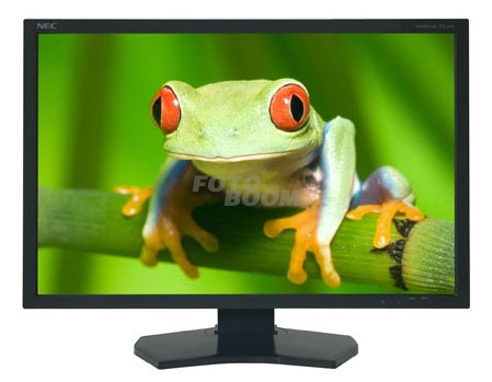 PA231W Monitor LCD Multisync