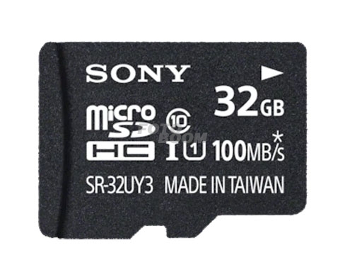 Micro SDHC 32Gb 100Mbs