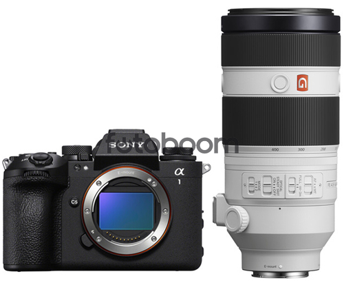 Alpha A1MII + 100-400mm f/4.5-5.6GM OSS E/FE + 100E Winter Cashback SONY