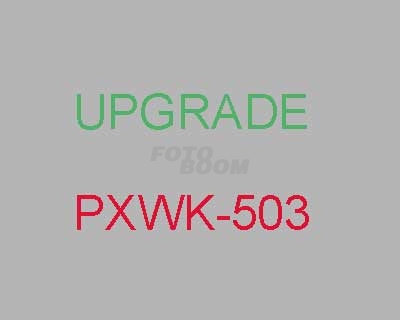 PXWK-503