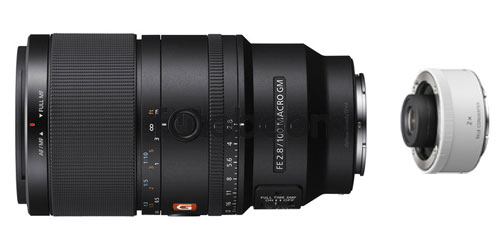 100mm f2.8 GM Macro OSS FE + TC-20SEL